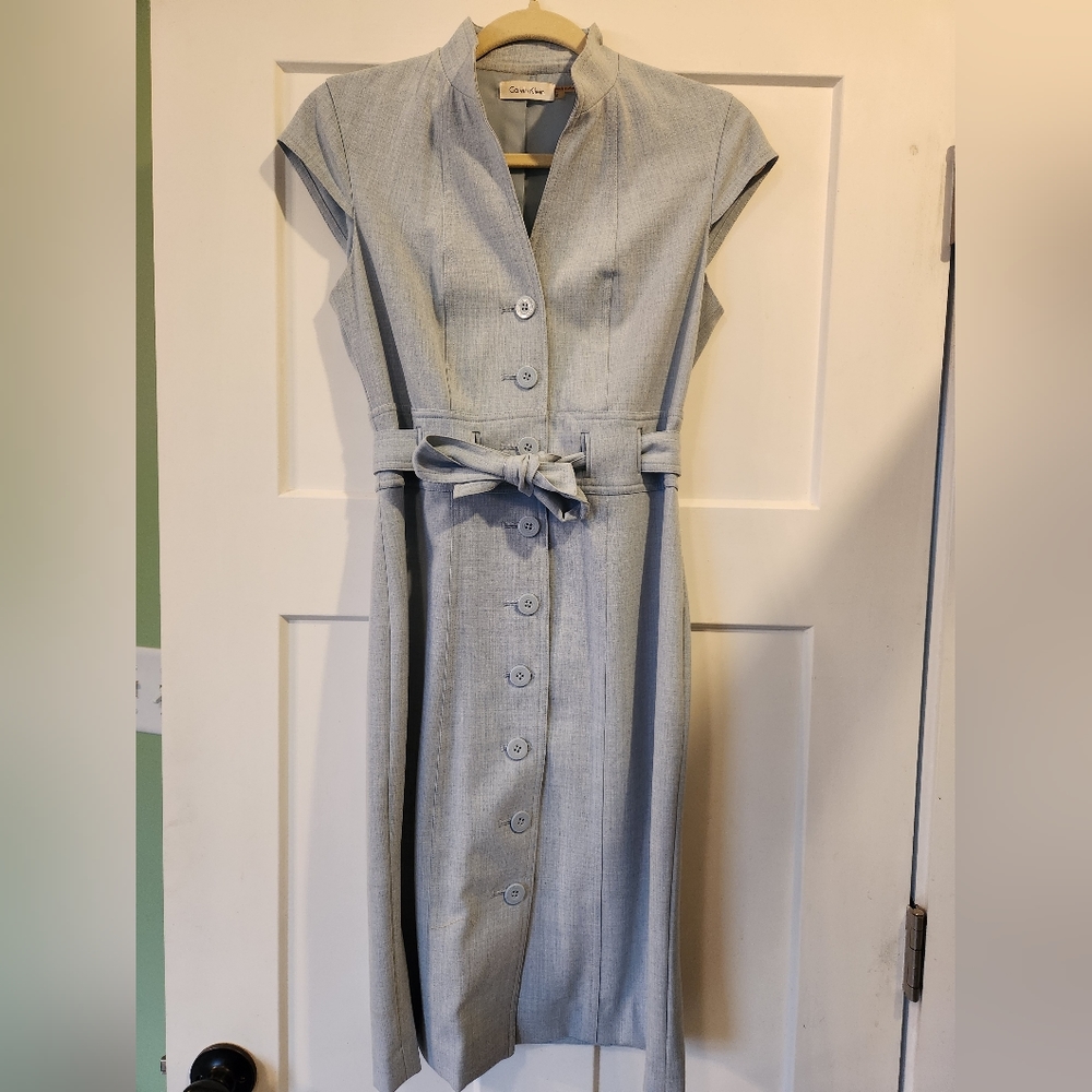 Calvin Klein size 2 button up dress womens
